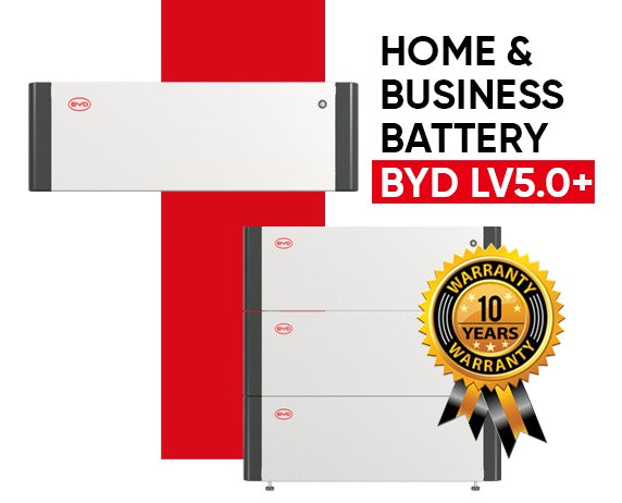 WhatsApp Image 2025-12-01 at 2.14.31 PM