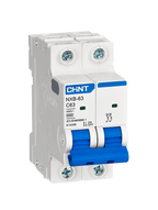 CHINT 10KA Miniature Circuit Breaker NXB-63H